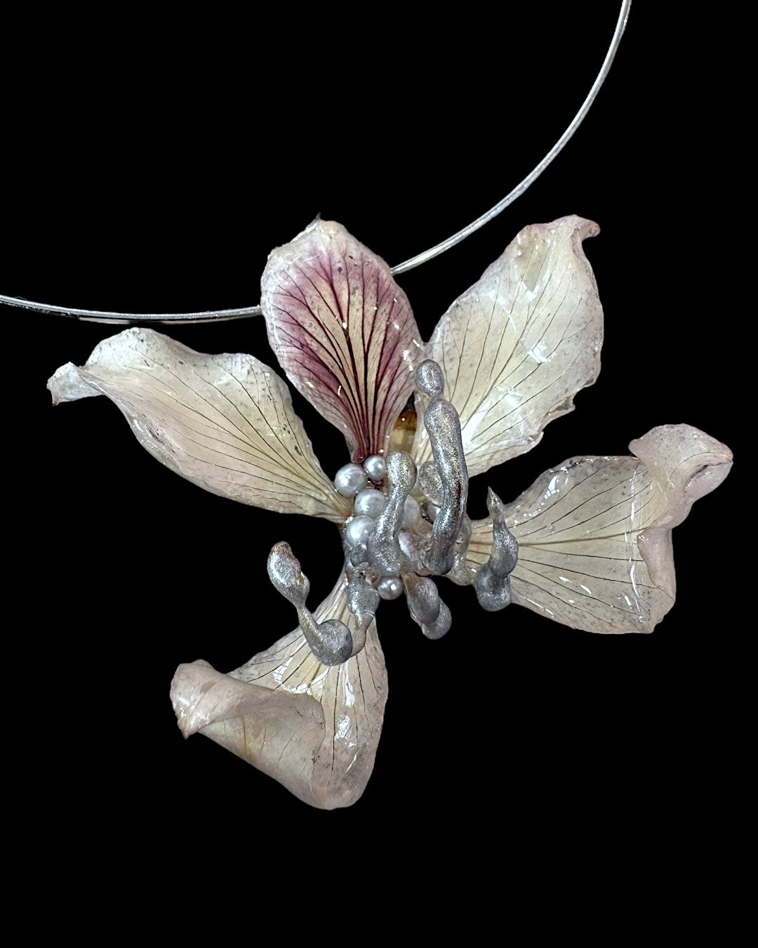 Design orchid