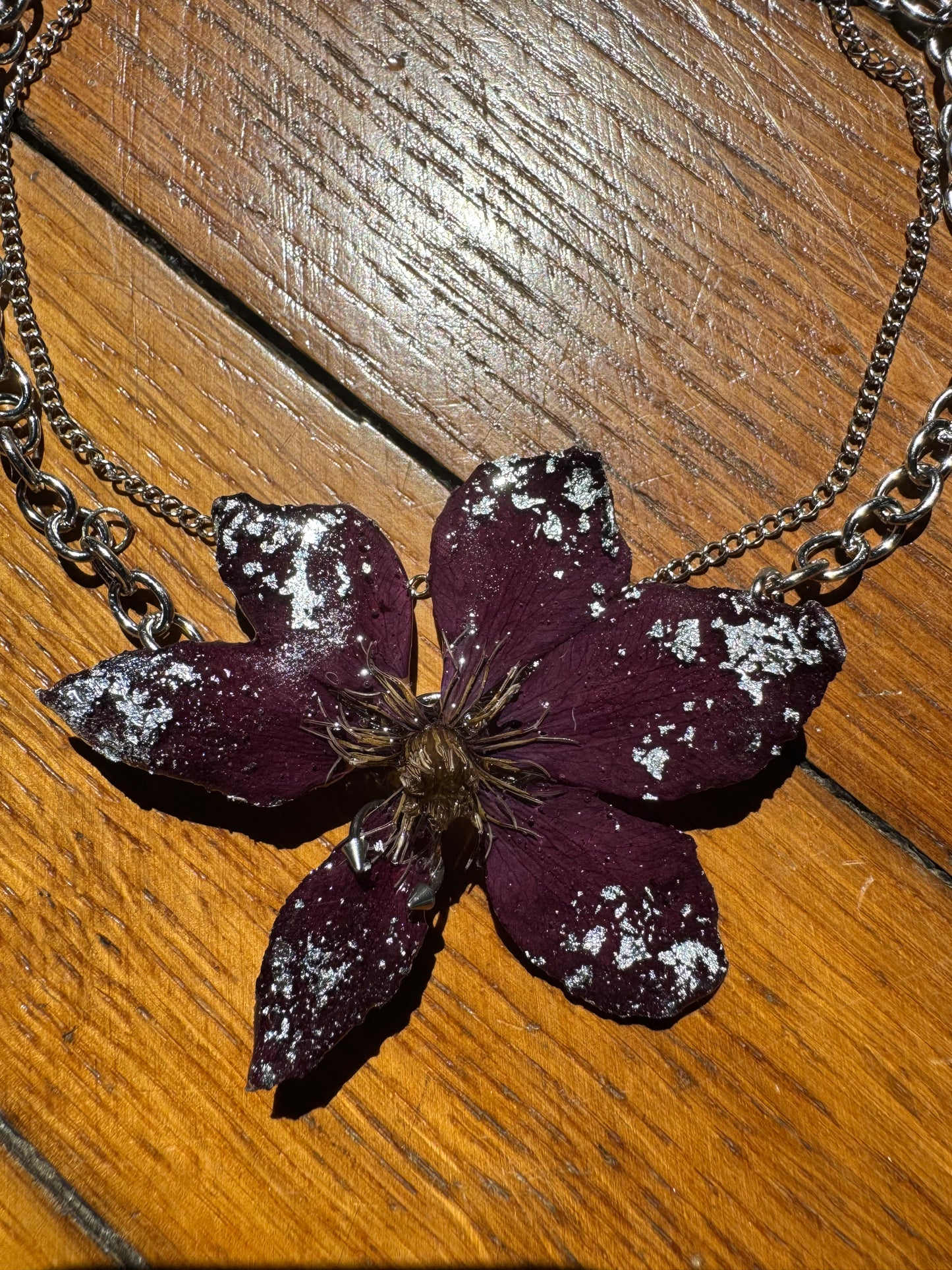 Burgunder-Clematis