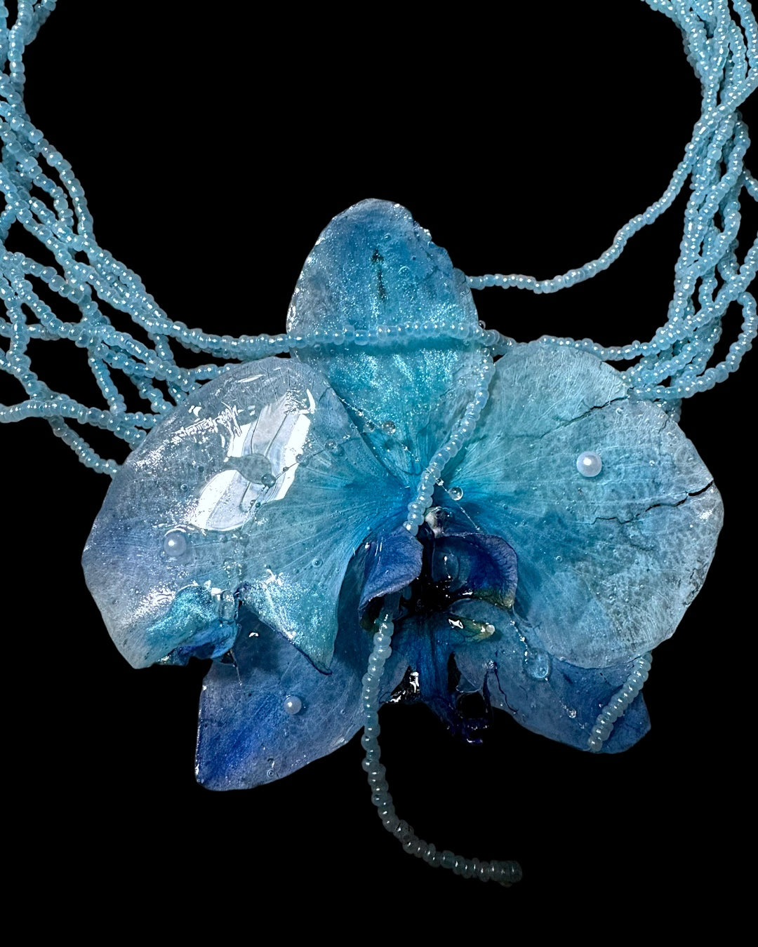 Big blue orchid