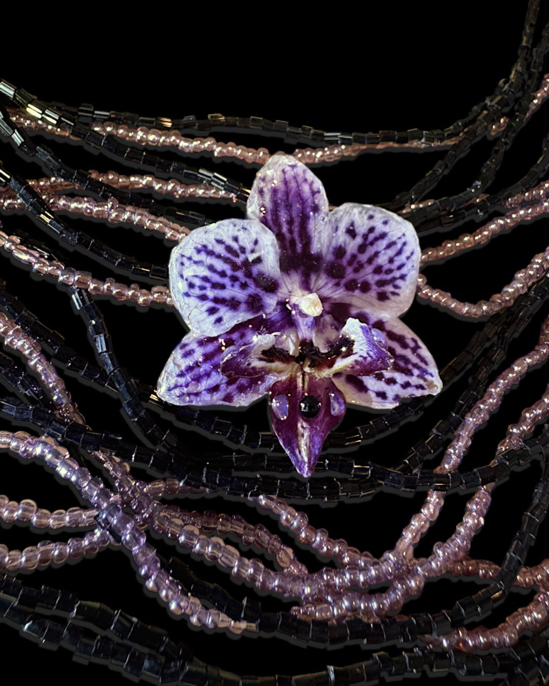 Little purple