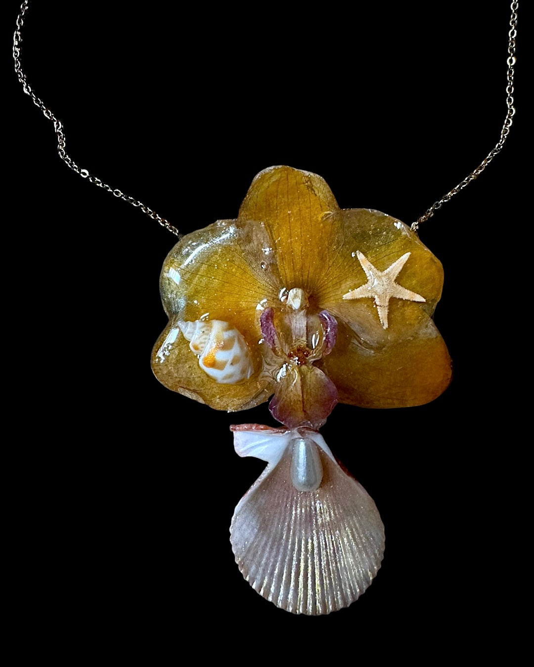 Shell orchid
