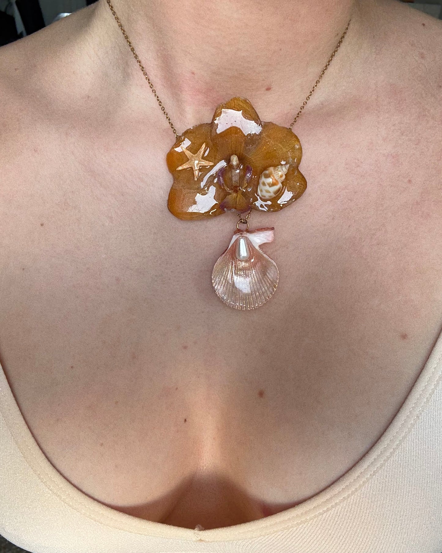 Shell orchid
