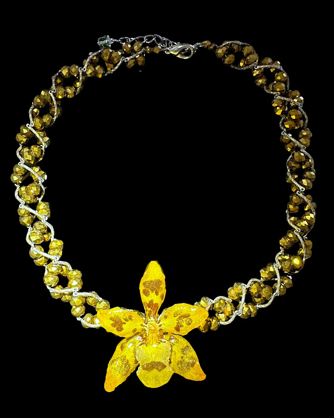 Oncidium girafe