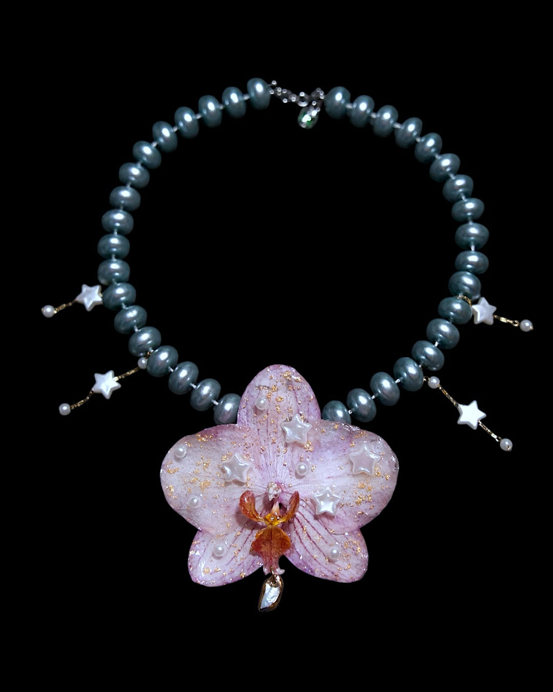 Big star orchid