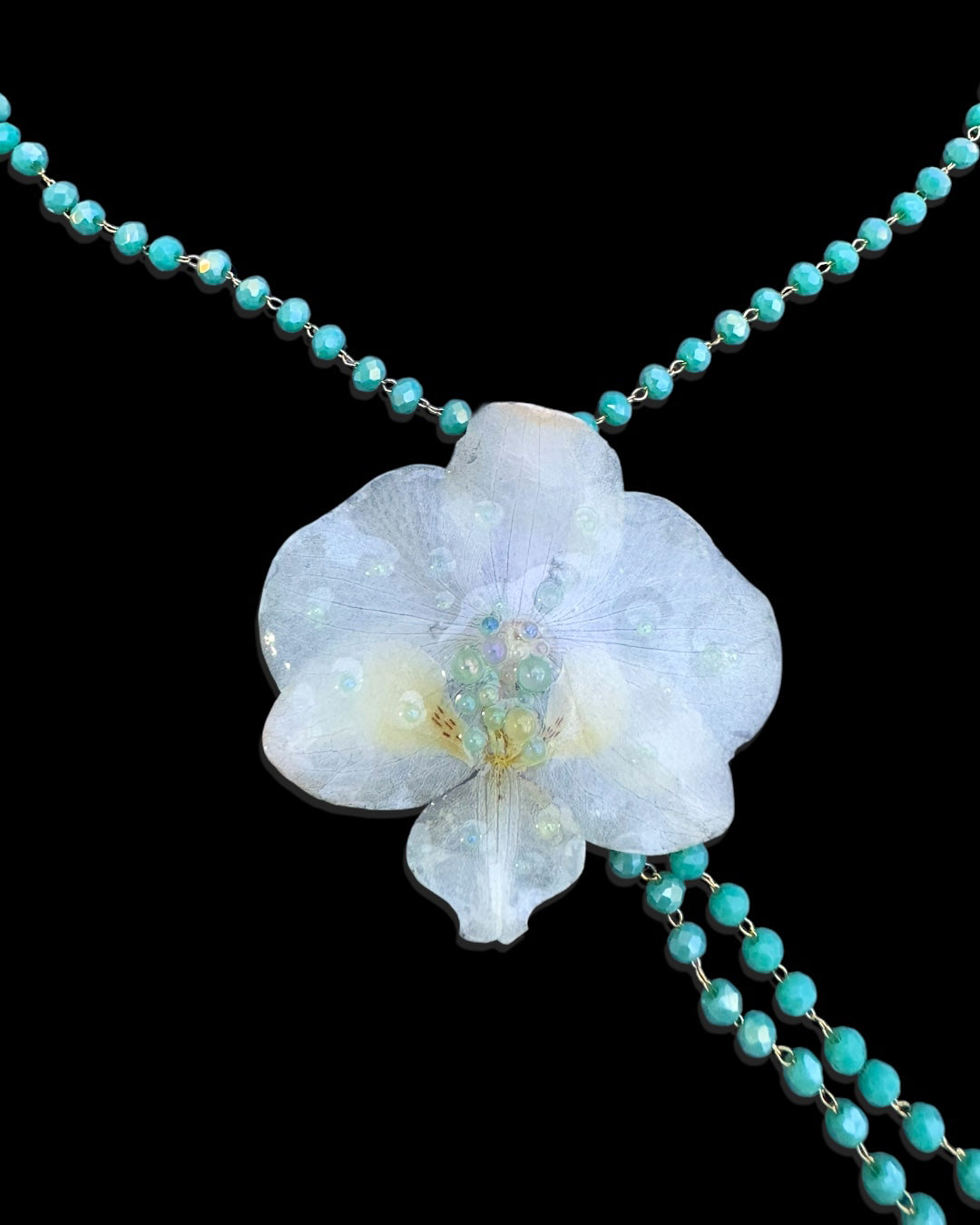Green phalaenopsis pearls