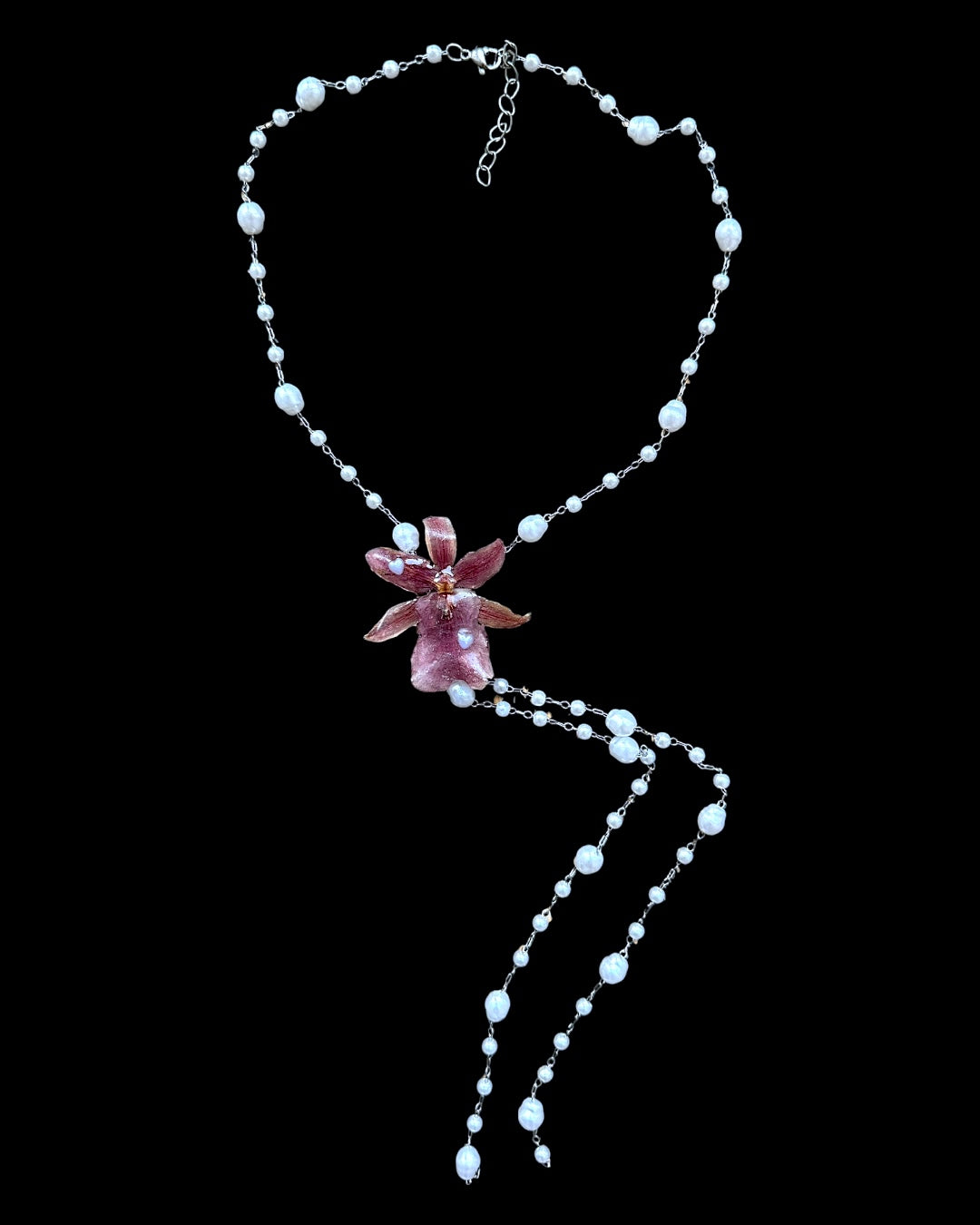 Pearly oncidium