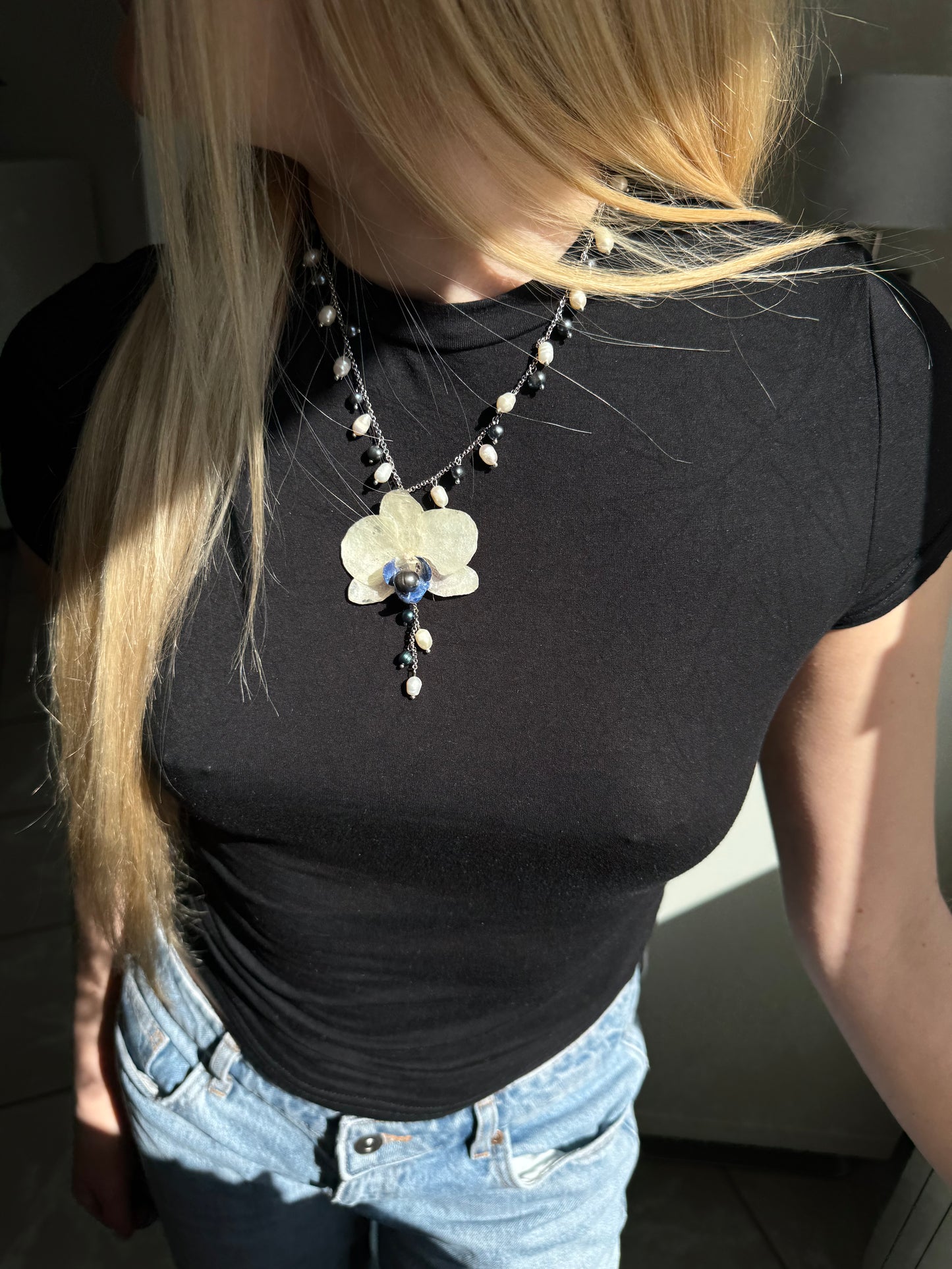 White & blue orchid