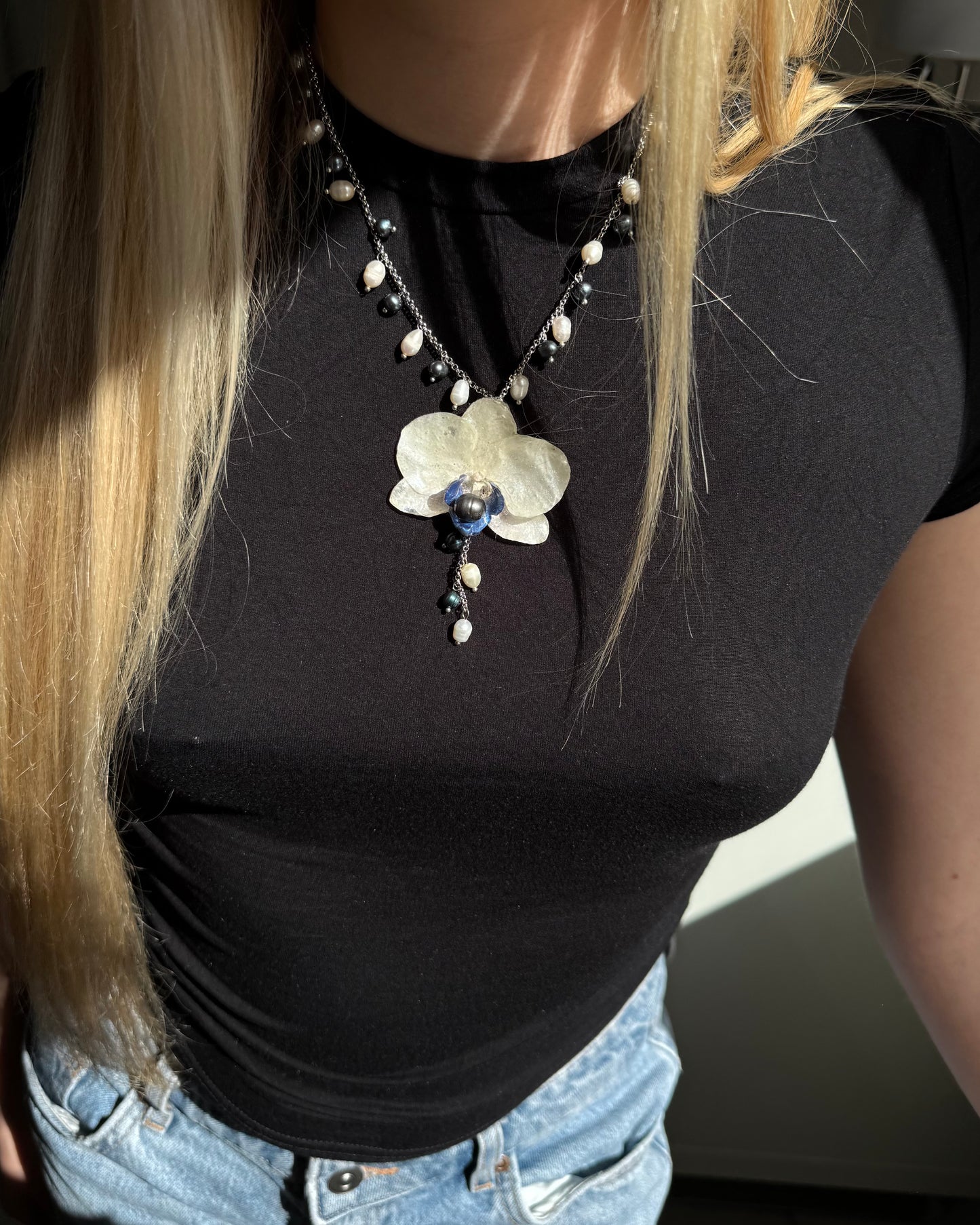 White & blue orchid