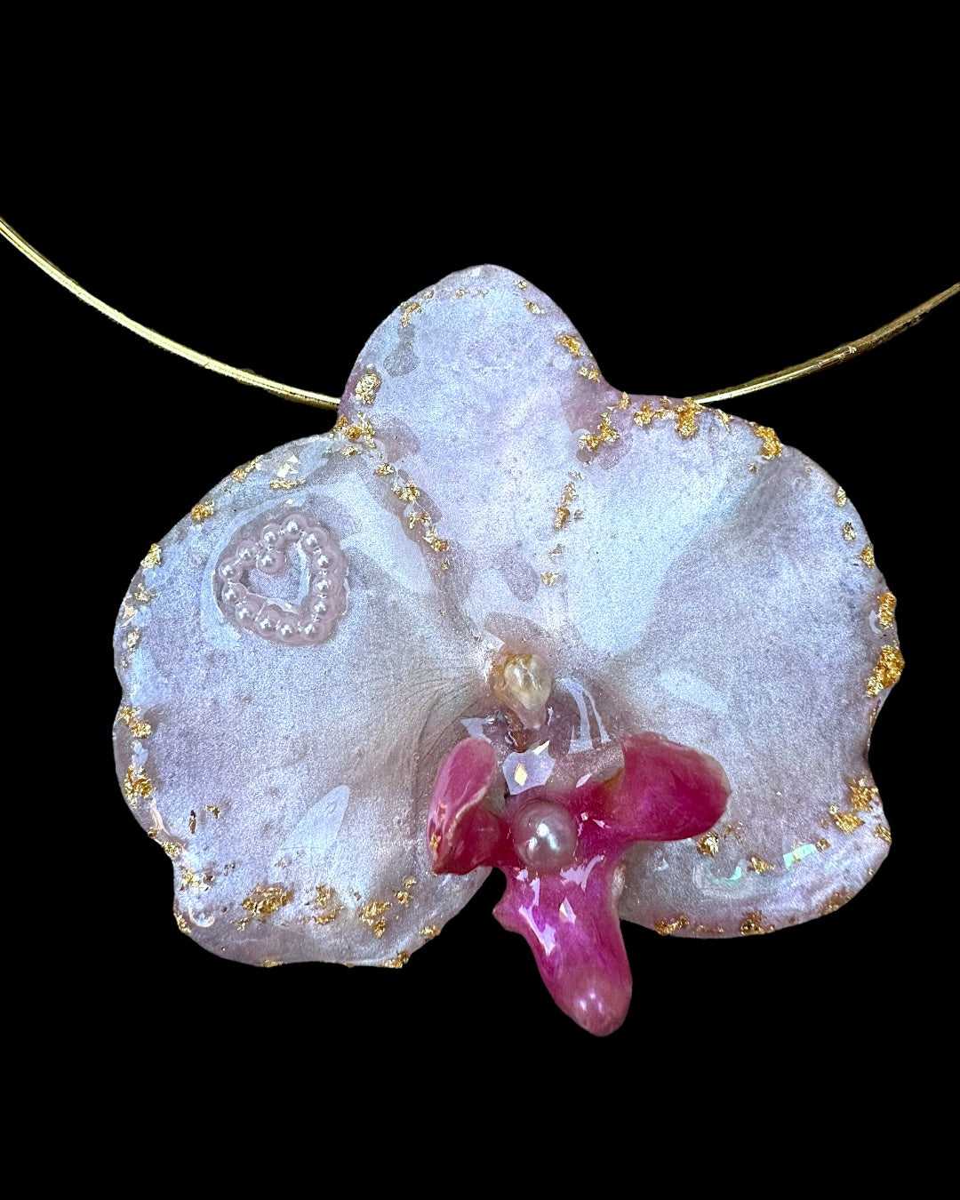 Pink phalaenopsis