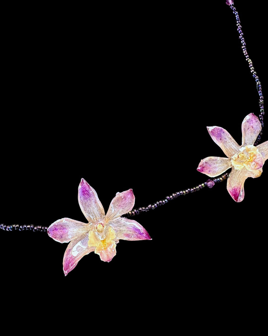 Mini Purple orchids