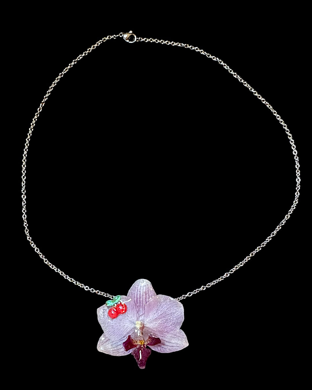Mini-Kirschorchidee
