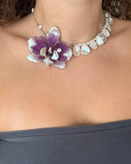 Mother of pearl orchid