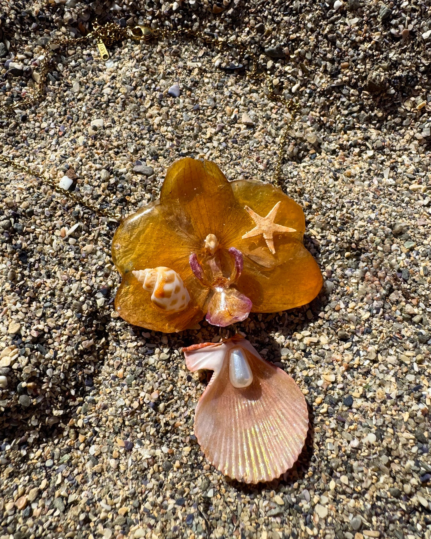Shell orange orchid