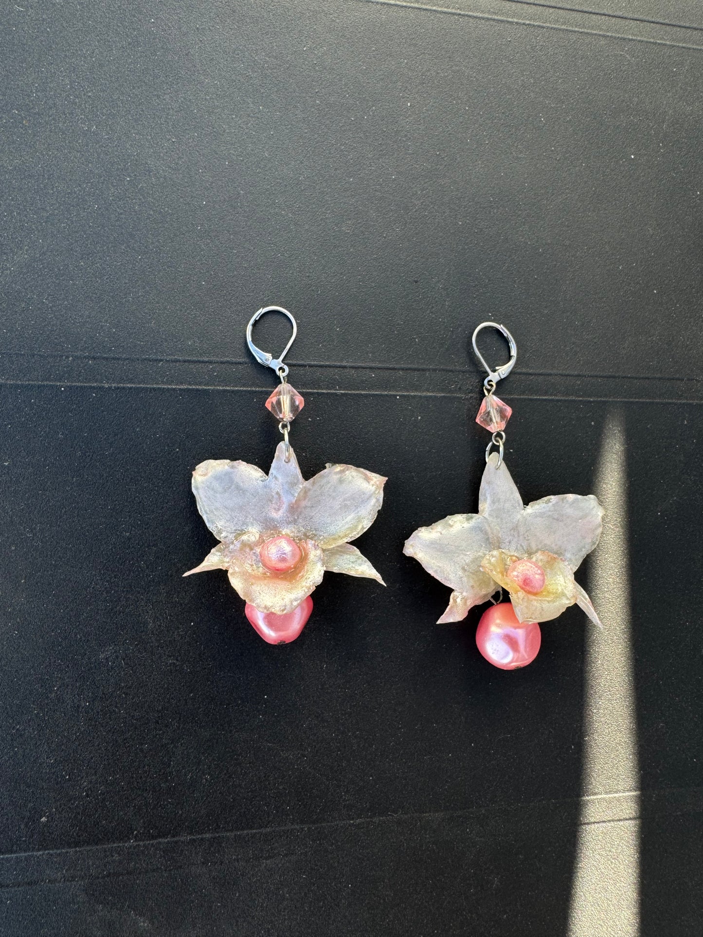 Glossy orchid