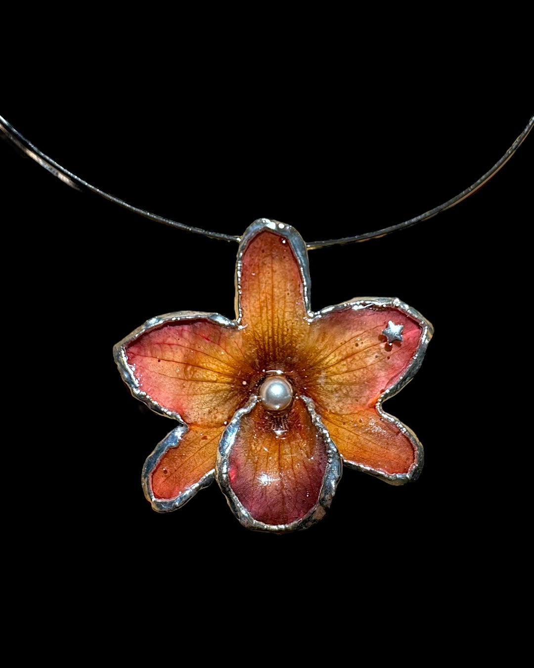 Braune Orchidee