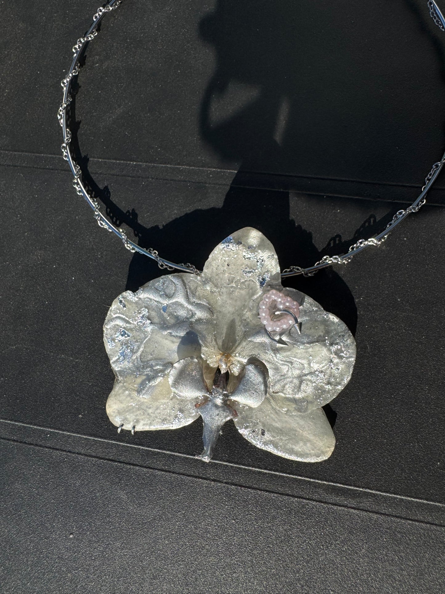 Chrome zebra orchid