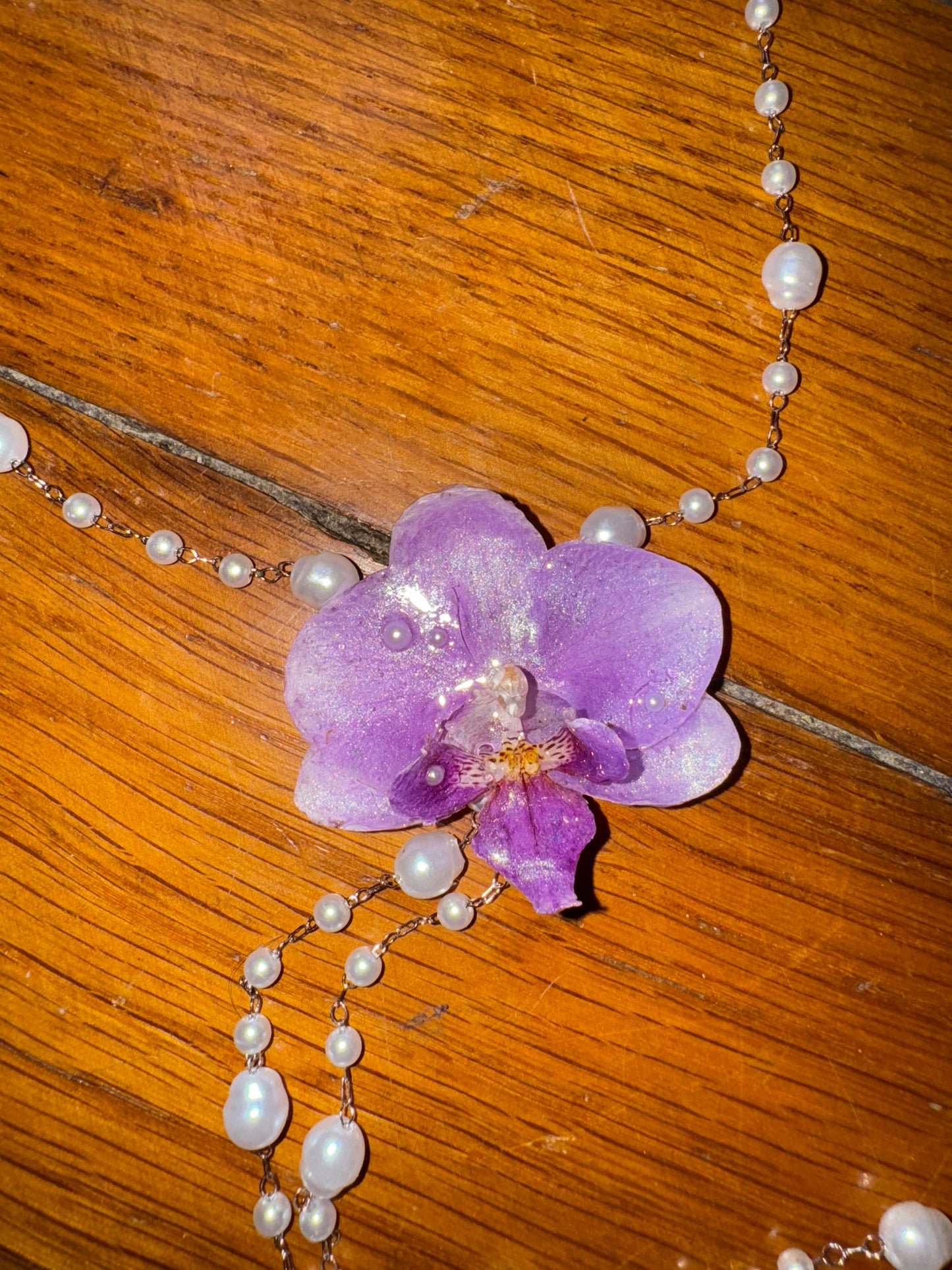 Glänzend lila Orchidee