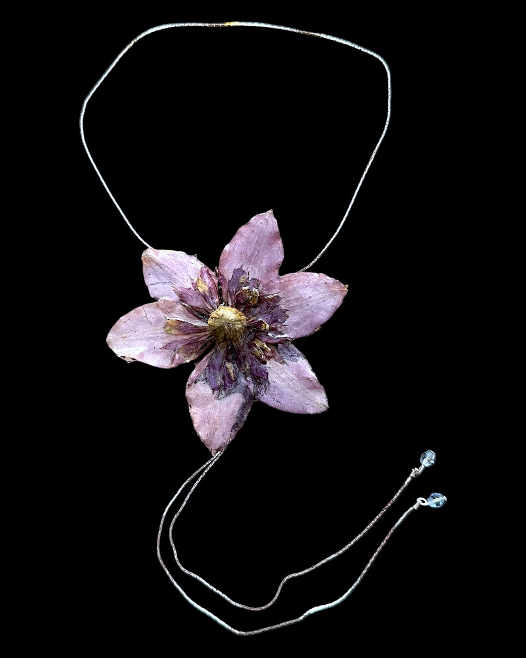 Purple clematis