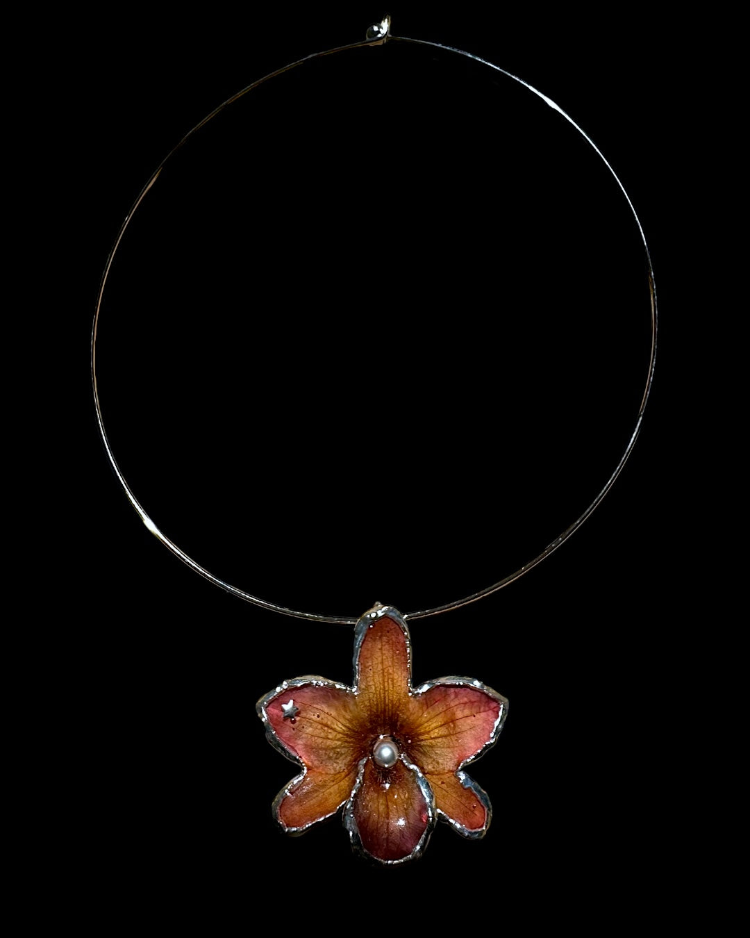 Braune Orchidee