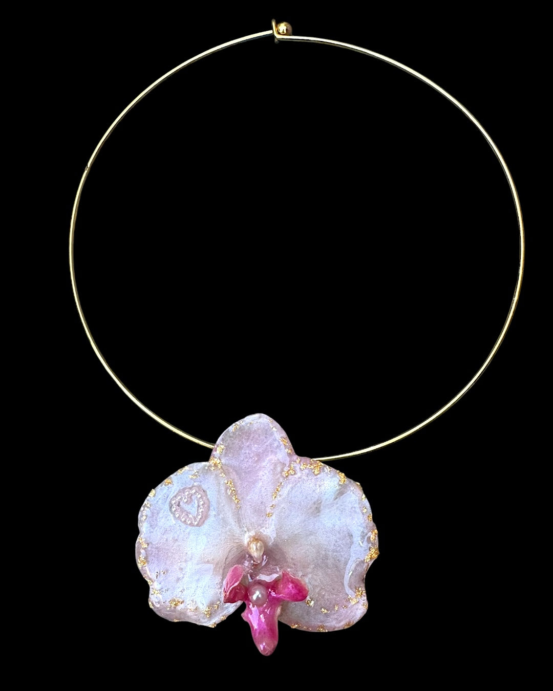 Pink phalaenopsis