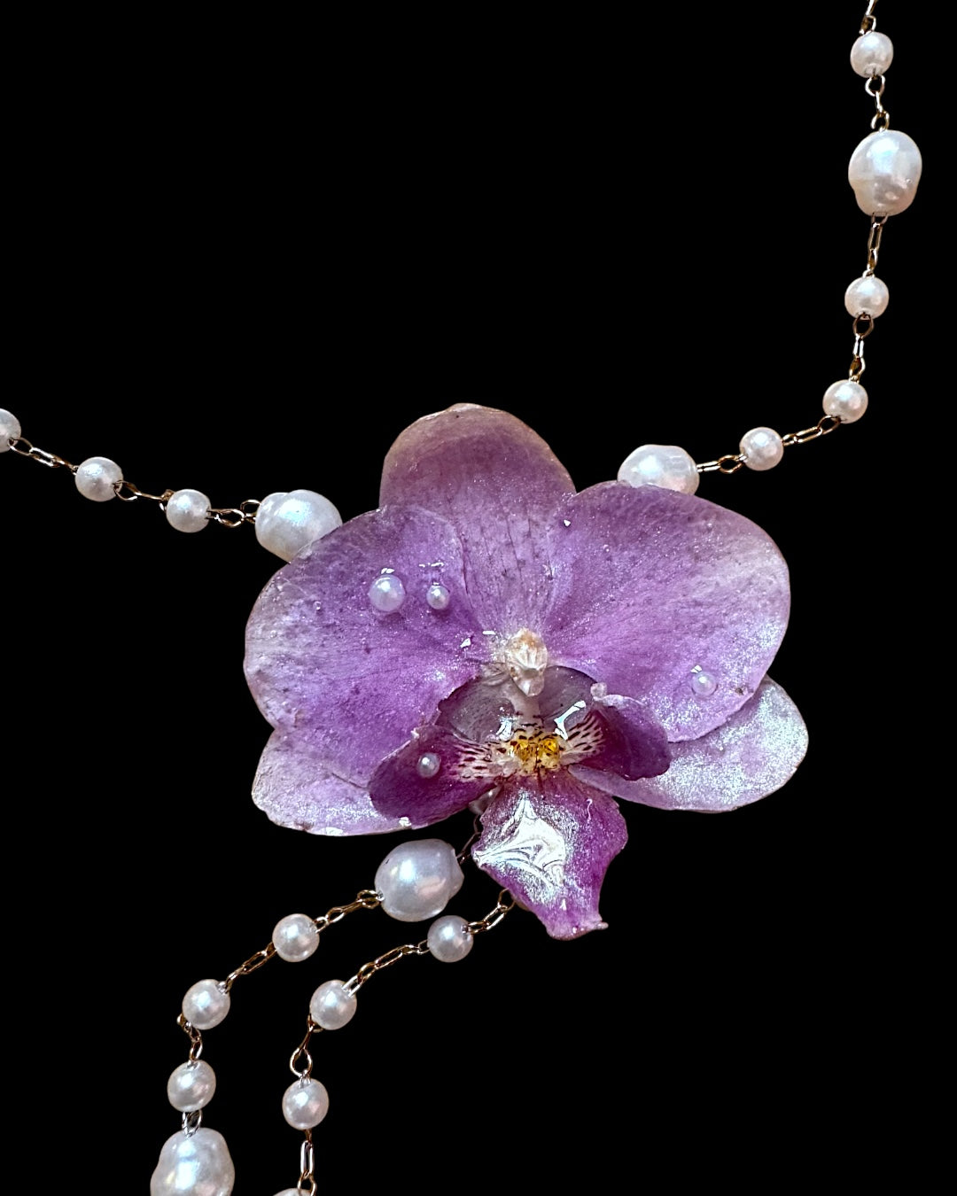 Glänzend lila Orchidee
