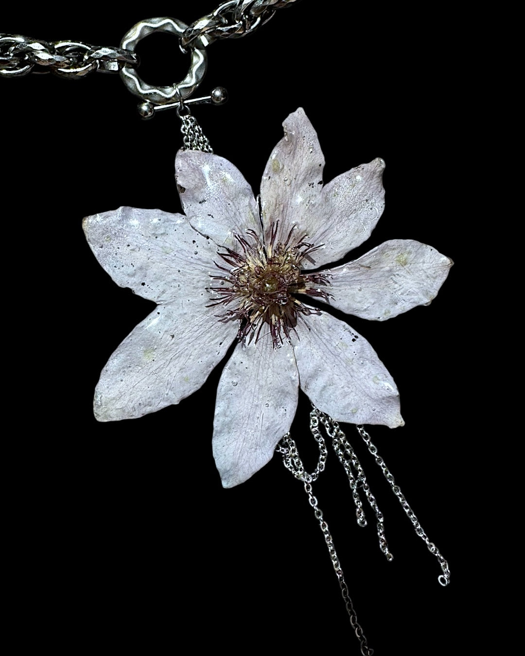 Lila Clematis