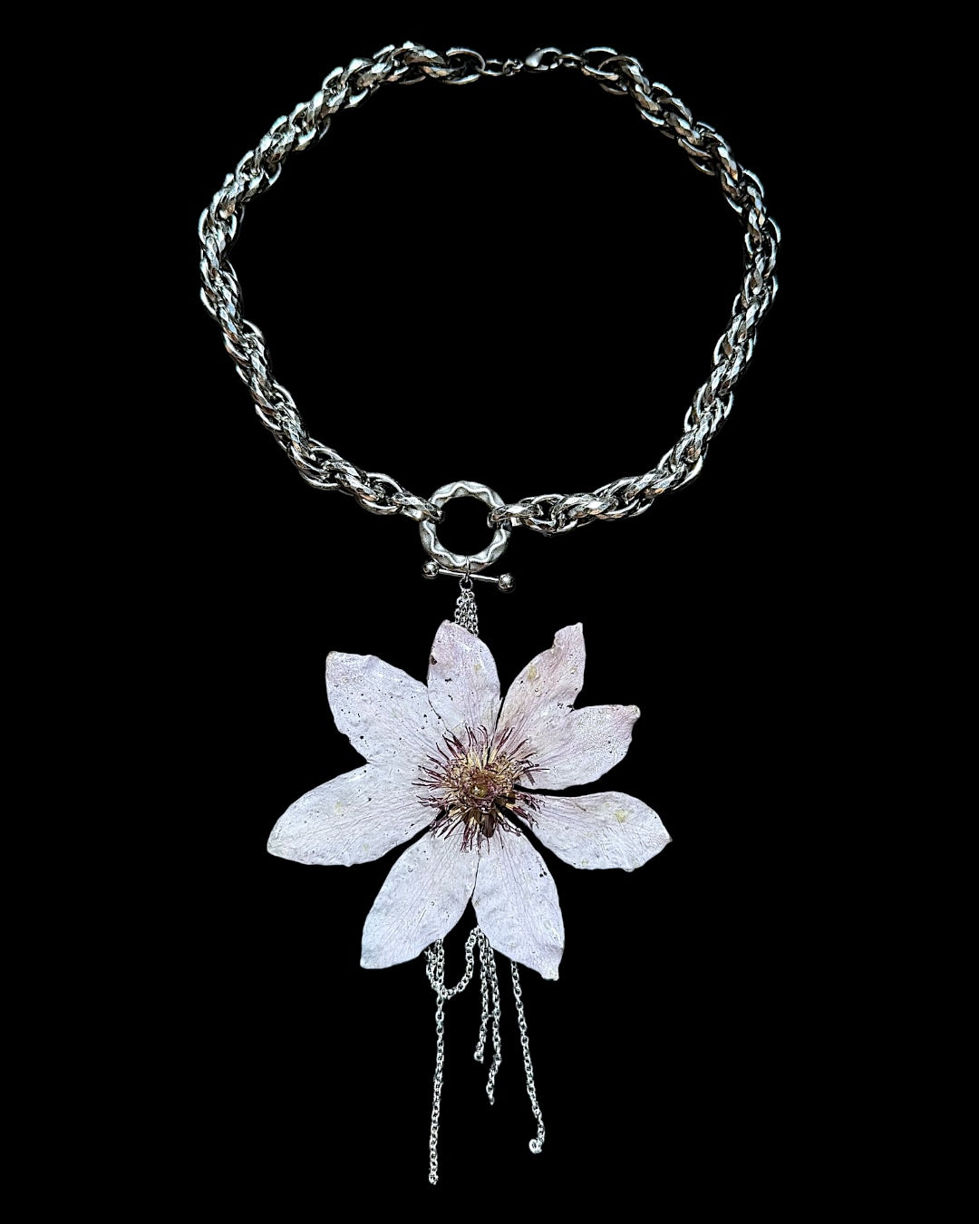 Lila Clematis