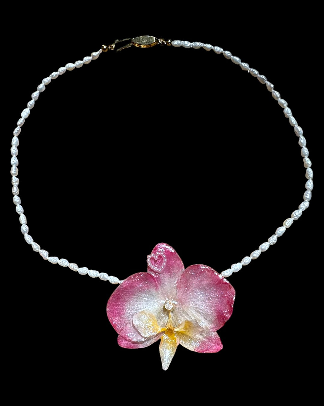 Pink glow orchid