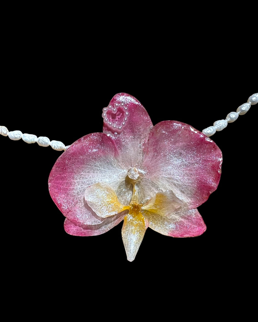 Pink glow orchid