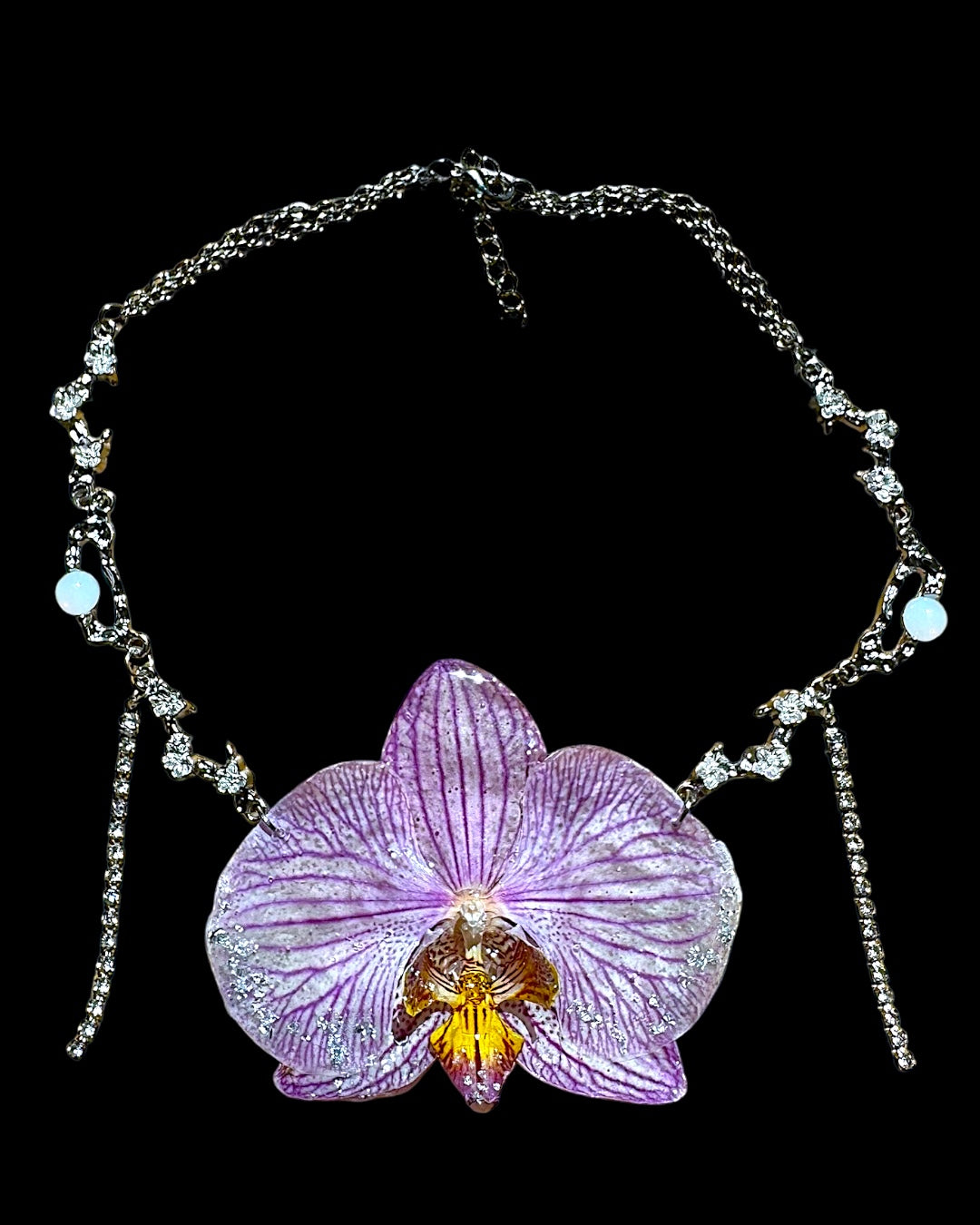 Big purple orchid