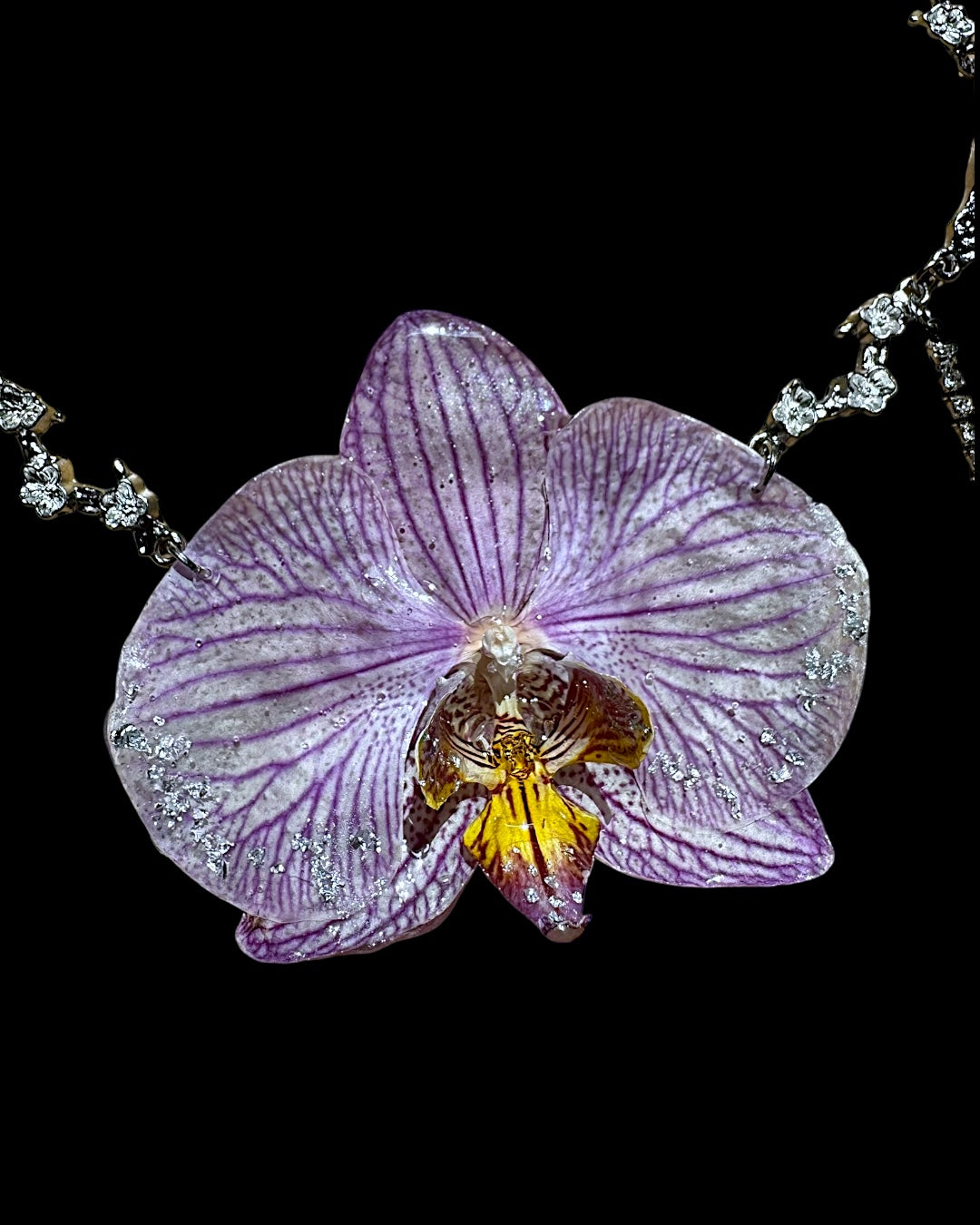 Big purple orchid