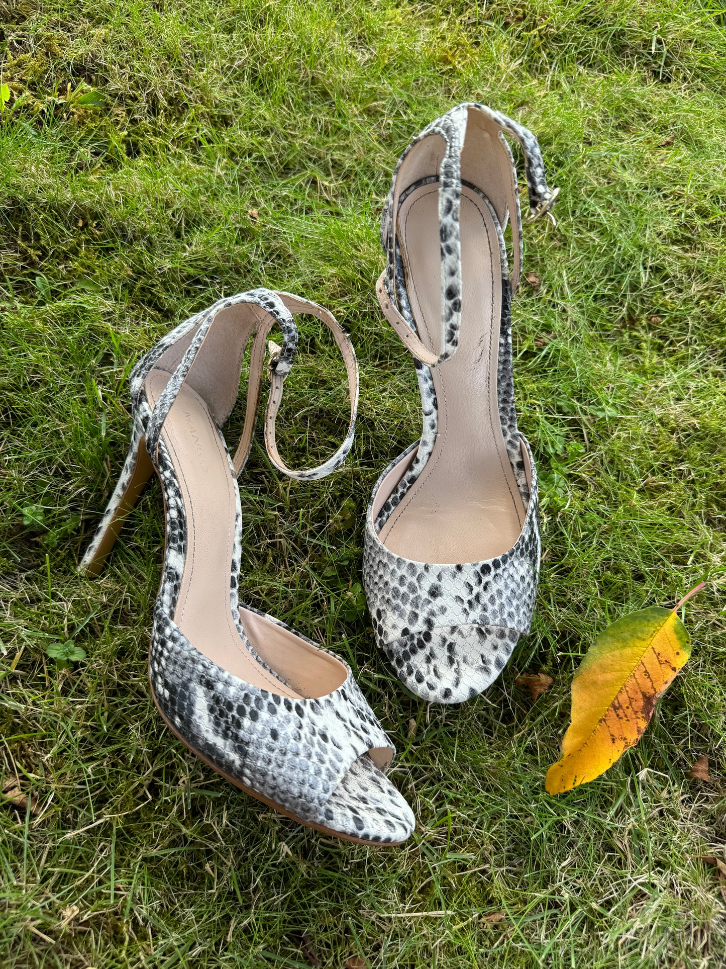 Python pumps | 39