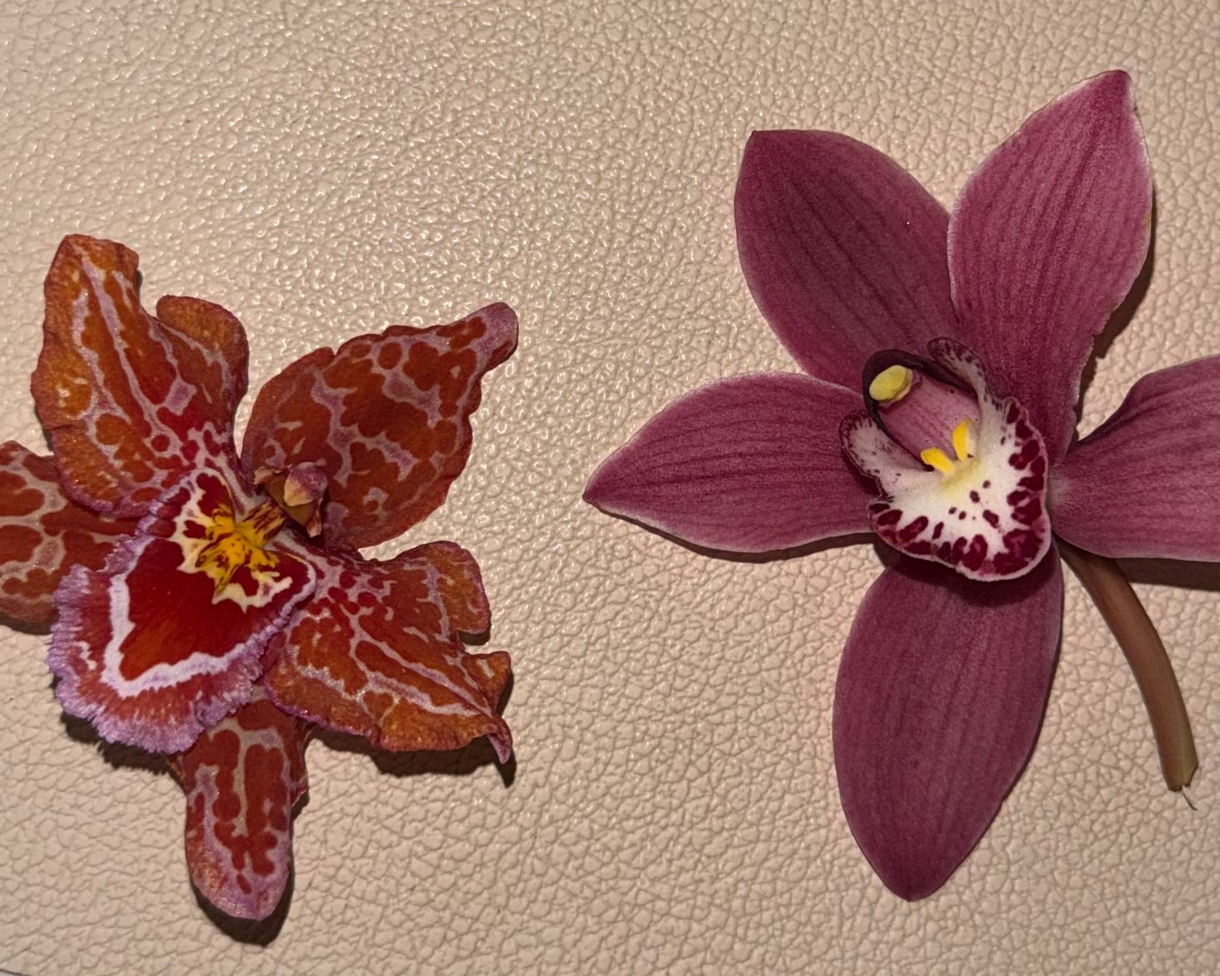 Quelle fleur choisir pour votre bijou ? Significations