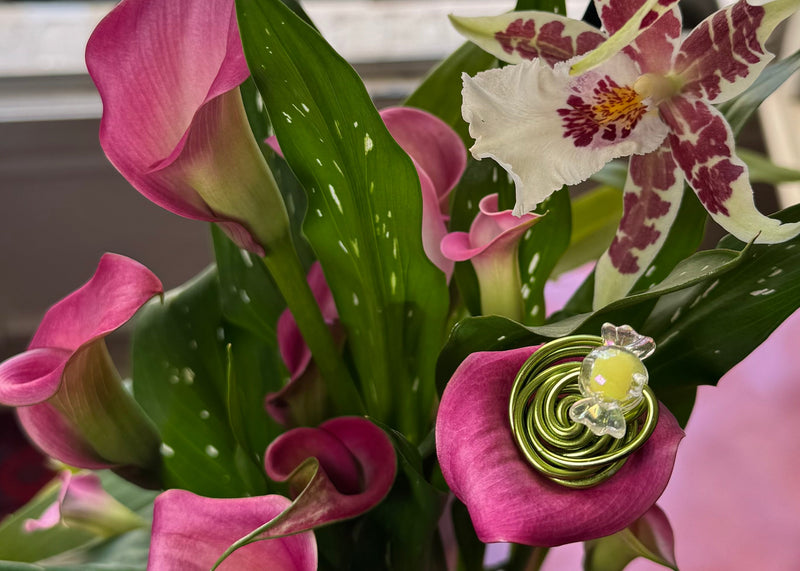 Nos bagues Bloomless