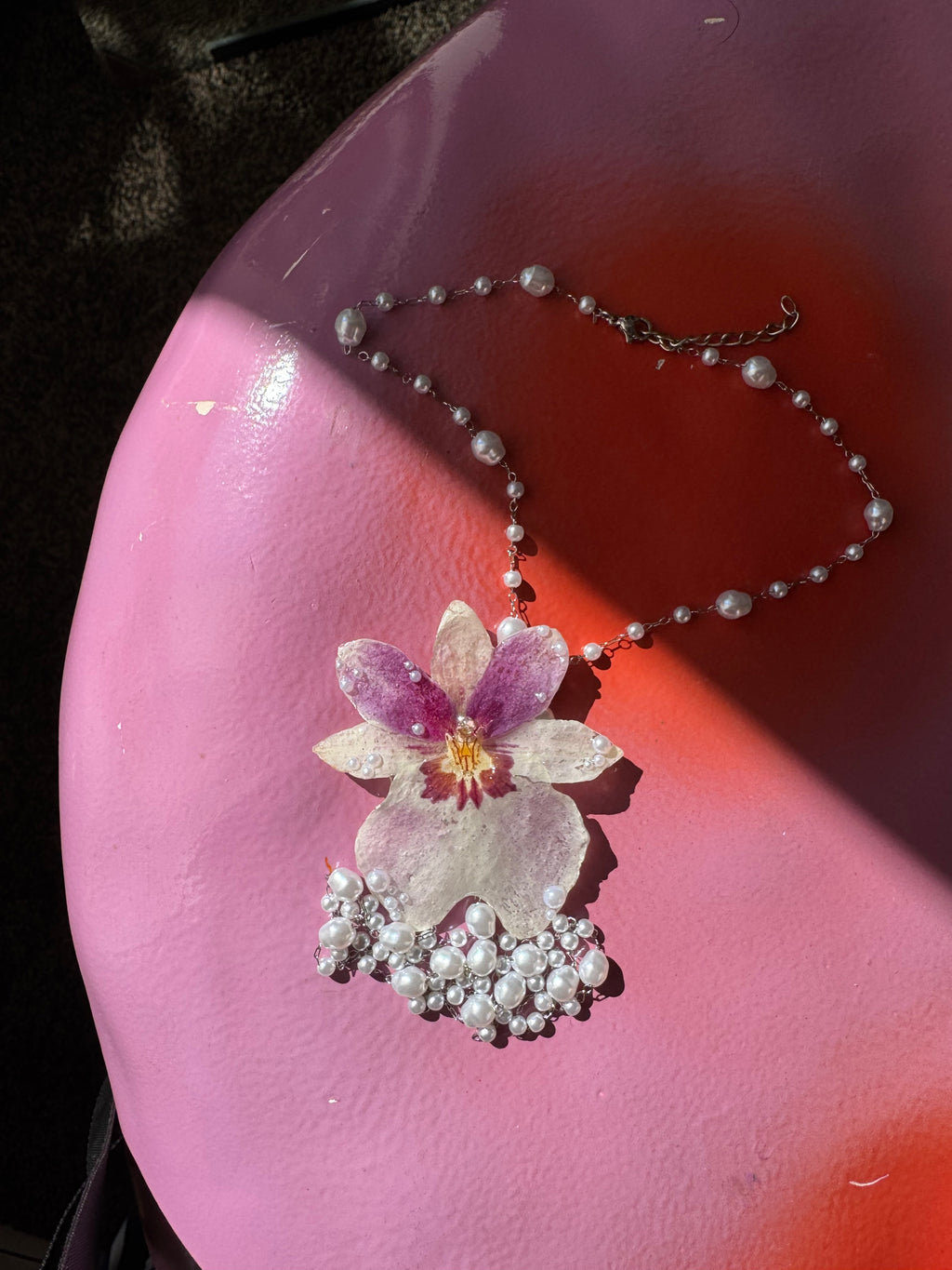Chella orchid