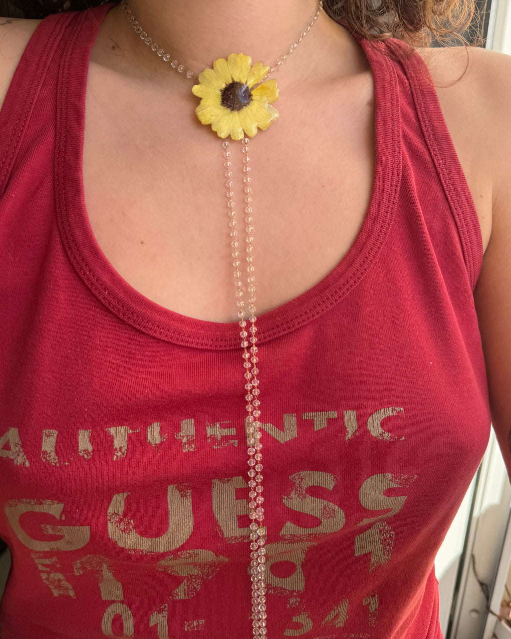 Melo daisy