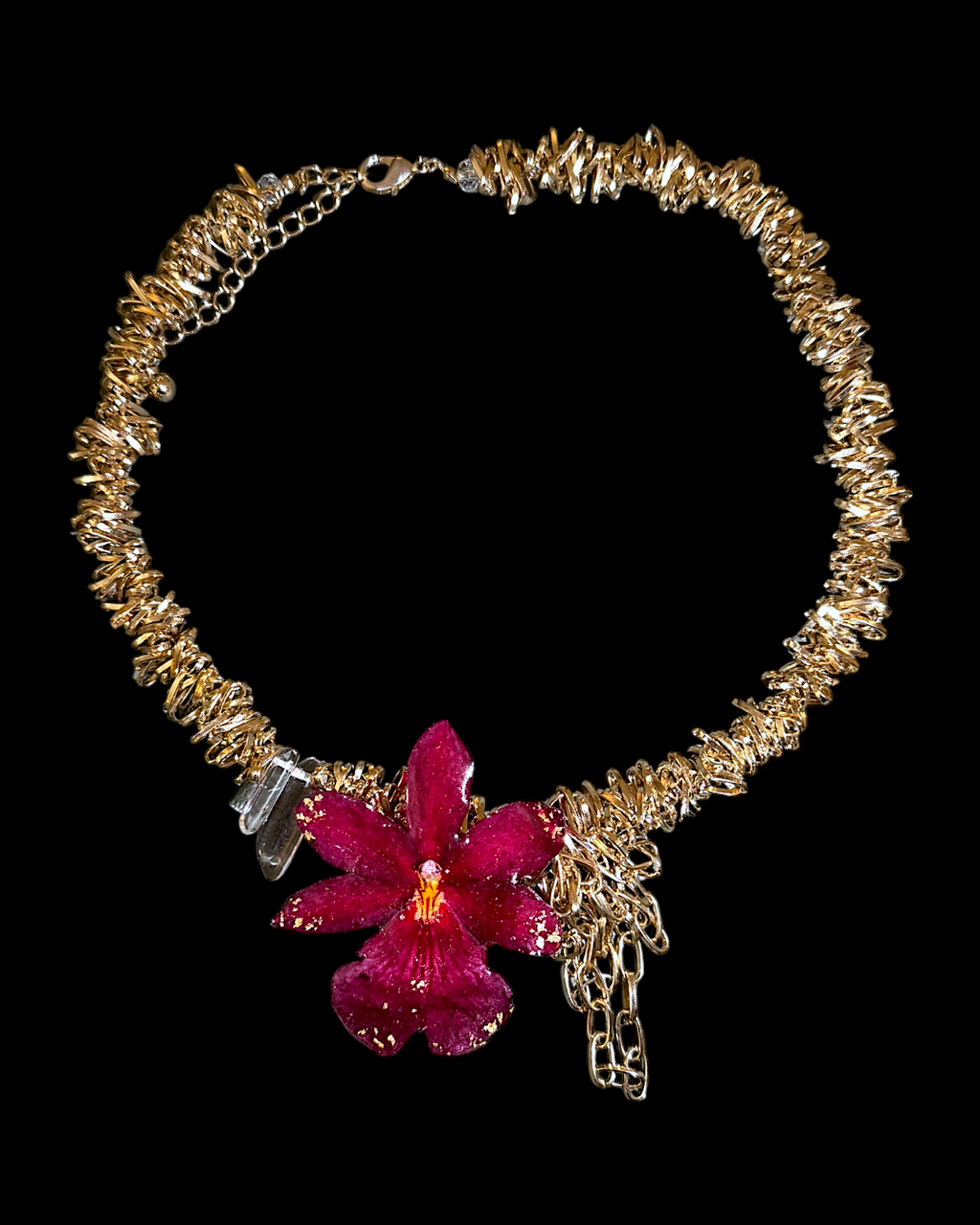 Deborah orchid