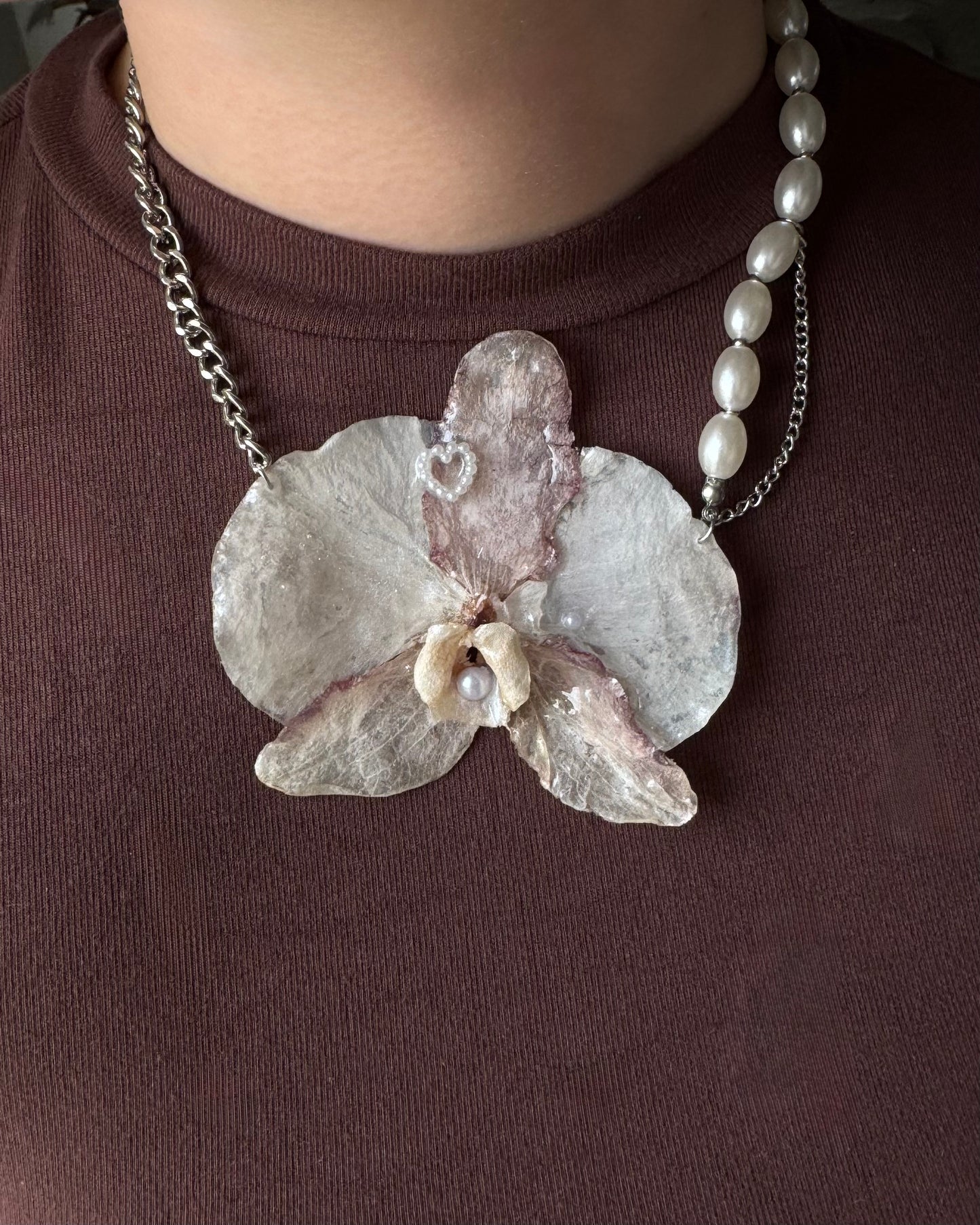 Big two-tone orchid