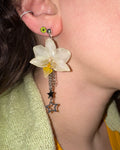 Pacha orchid