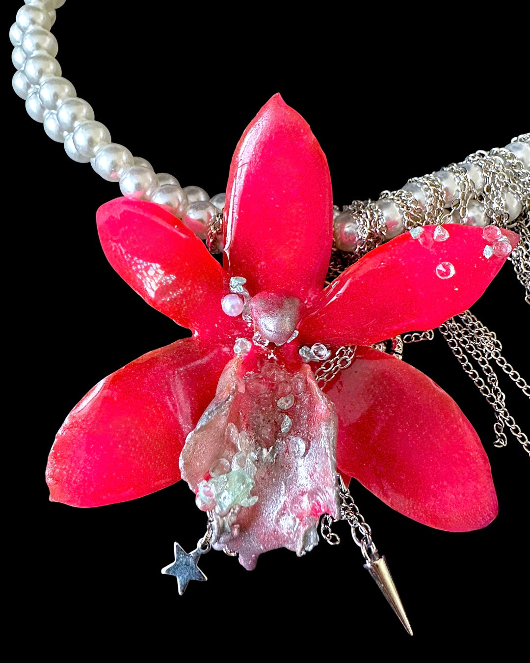 Nikita orchid