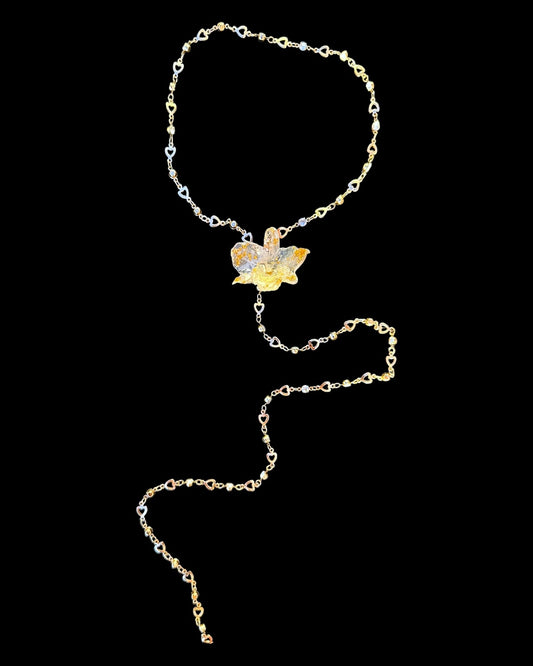 Goldy orchid