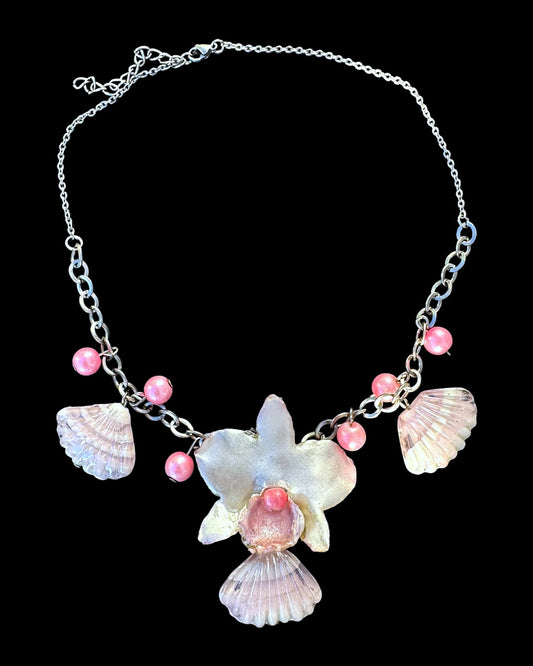 Shell orchid