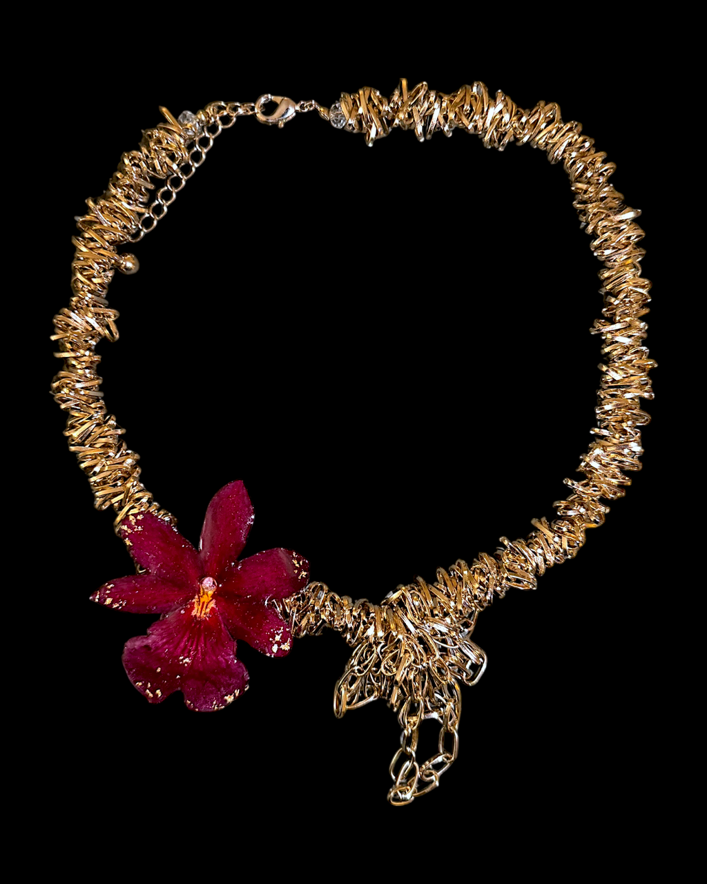 Deborah orchid