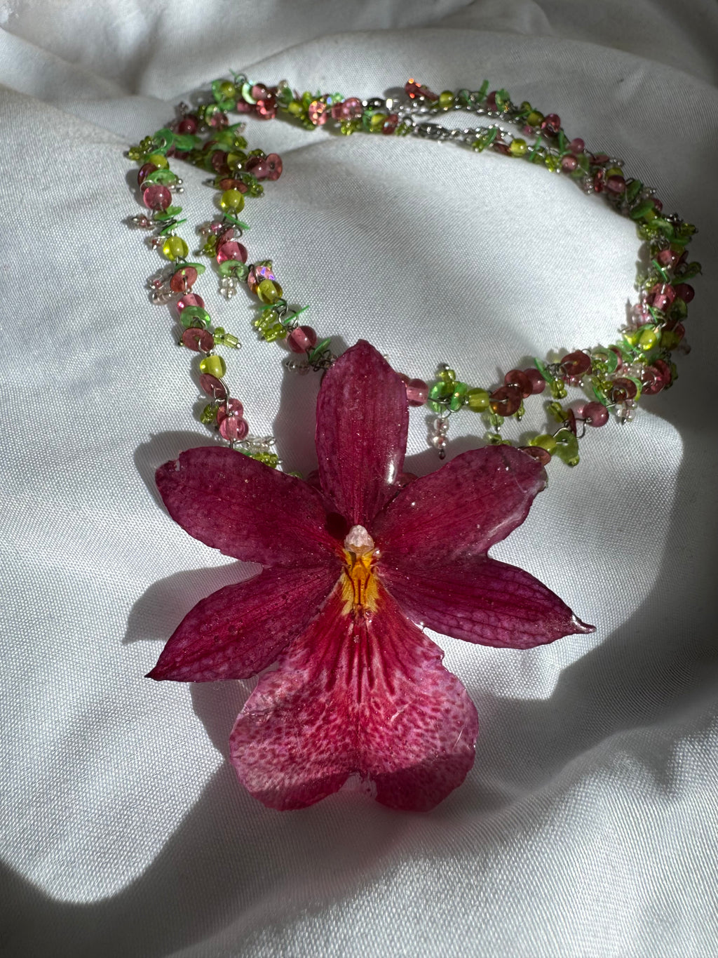 Setla orchid