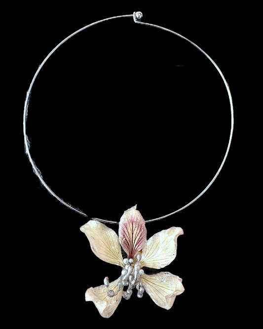 Design orchid