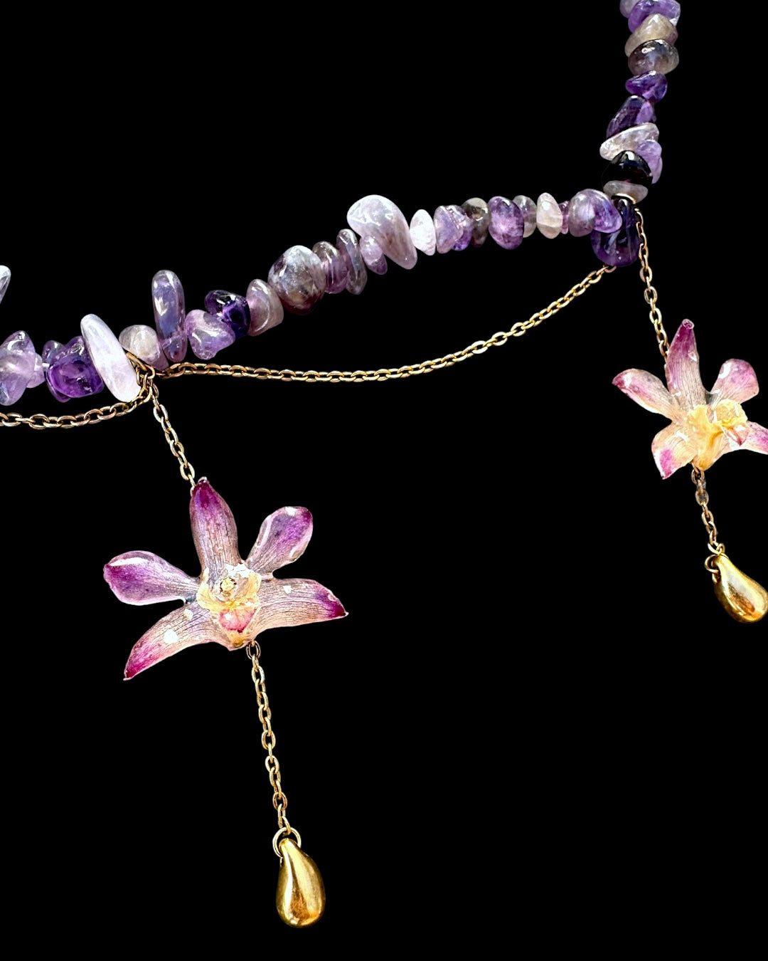 Goldy purple orchids