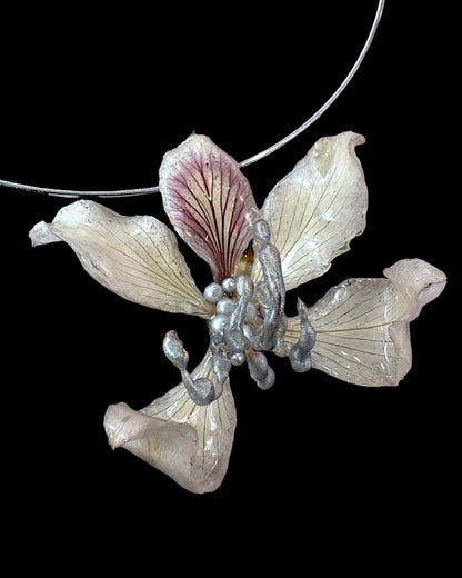 Design orchid