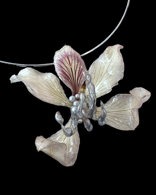 Design orchid