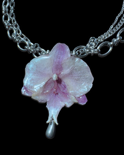 Lila Orchidee