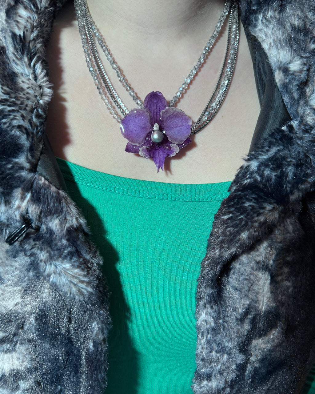 Graue Perlenorchidee